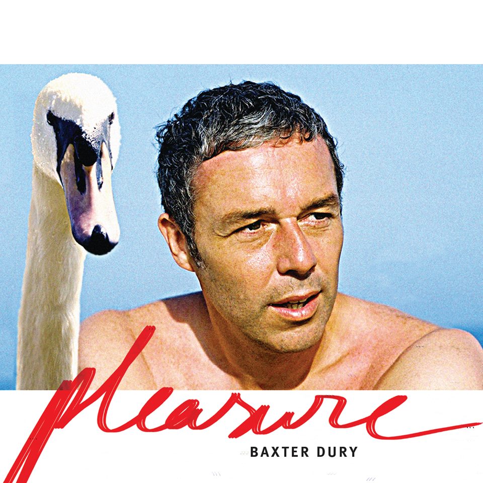 Baxter Dury nous fait plaisir Pinkushion